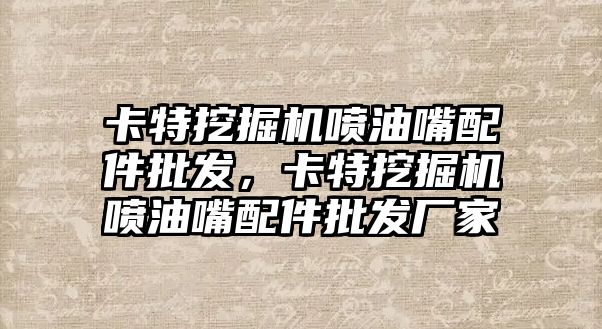 卡特挖掘機噴油嘴配件批發，卡特挖掘機噴油嘴配件批發廠家