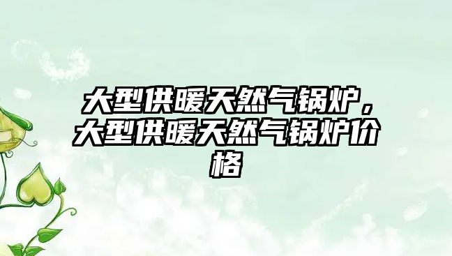 大型供暖天然氣鍋爐，大型供暖天然氣鍋爐價(jià)格