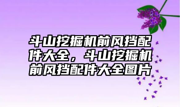 斗山挖掘機前風擋配件大全，斗山挖掘機前風擋配件大全圖片