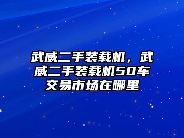 武威二手裝載機(jī)，武威二手裝載機(jī)50車交易市場在哪里