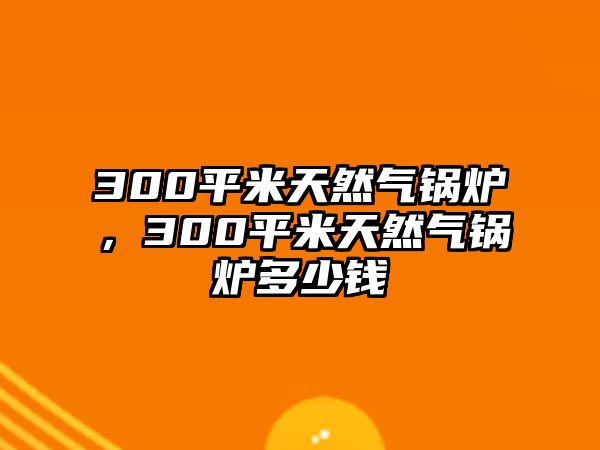 300平米天然氣鍋爐，300平米天然氣鍋爐多少錢