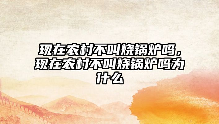 現(xiàn)在農(nóng)村不叫燒鍋爐嗎，現(xiàn)在農(nóng)村不叫燒鍋爐嗎為什么