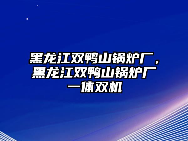 黑龍江雙鴨山鍋爐廠，黑龍江雙鴨山鍋爐廠一體雙機