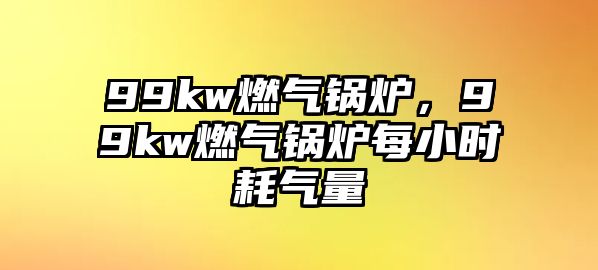 99kw燃氣鍋爐，99kw燃氣鍋爐每小時耗氣量