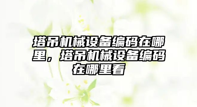 塔吊機械設備編碼在哪里，塔吊機械設備編碼在哪里看