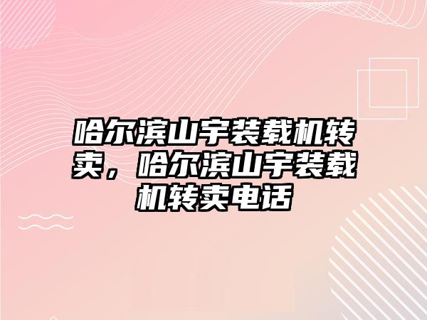 哈爾濱山宇裝載機轉賣，哈爾濱山宇裝載機轉賣電話