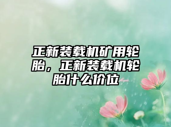 正新裝載機(jī)礦用輪胎，正新裝載機(jī)輪胎什么價(jià)位