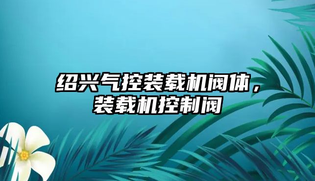 紹興氣控裝載機閥體，裝載機控制閥