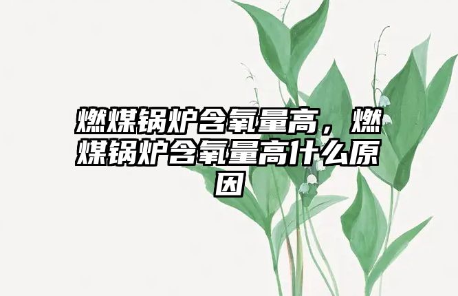 燃煤鍋爐含氧量高，燃煤鍋爐含氧量高什么原因