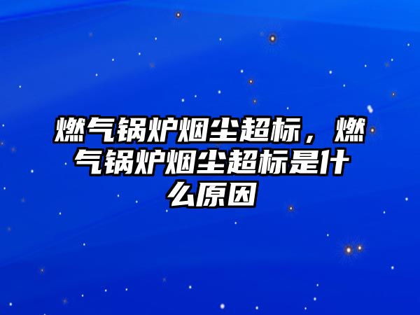 燃?xì)忮仩t煙塵超標(biāo)，燃?xì)忮仩t煙塵超標(biāo)是什么原因