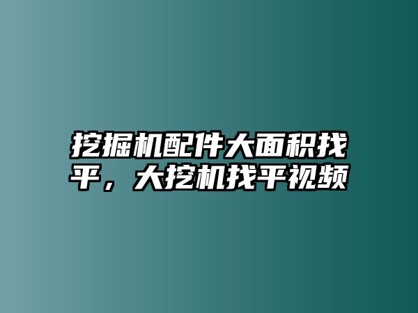 挖掘機(jī)配件大面積找平，大挖機(jī)找平視頻