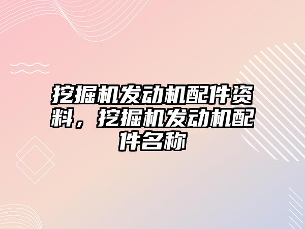 挖掘機發(fā)動機配件資料，挖掘機發(fā)動機配件名稱