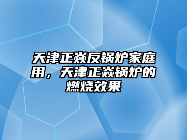 天津正焱反鍋爐家庭用，天津正焱鍋爐的燃燒效果