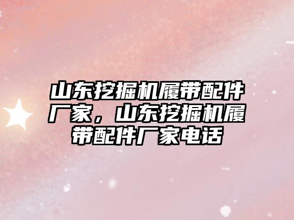 山東挖掘機履帶配件廠家，山東挖掘機履帶配件廠家電話