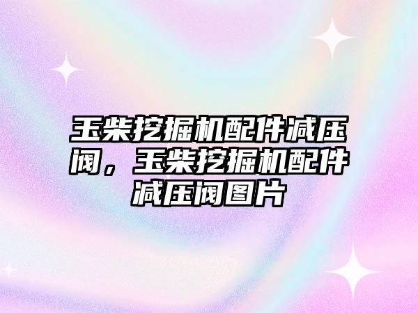 玉柴挖掘機配件減壓閥，玉柴挖掘機配件減壓閥圖片