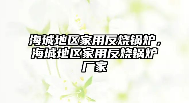 海城地區家用反燒鍋爐，海城地區家用反燒鍋爐廠家