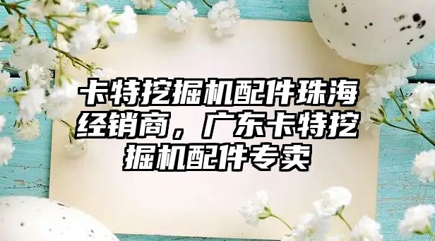 卡特挖掘機配件珠海經銷商，廣東卡特挖掘機配件專賣