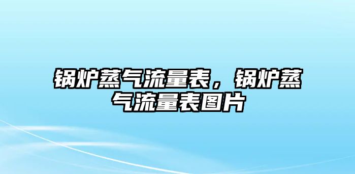 鍋爐蒸氣流量表，鍋爐蒸氣流量表圖片