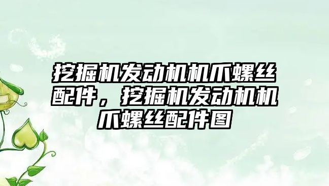 挖掘機發(fā)動機機爪螺絲配件，挖掘機發(fā)動機機爪螺絲配件圖