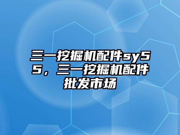 三一挖掘機配件sy55，三一挖掘機配件批發市場