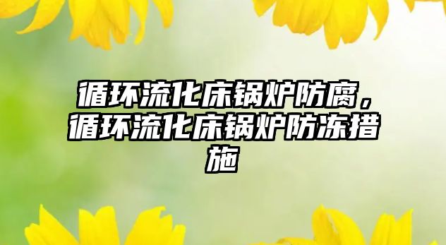 循環流化床鍋爐防腐，循環流化床鍋爐防凍措施