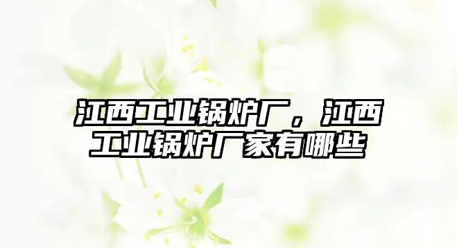 江西工業鍋爐廠，江西工業鍋爐廠家有哪些