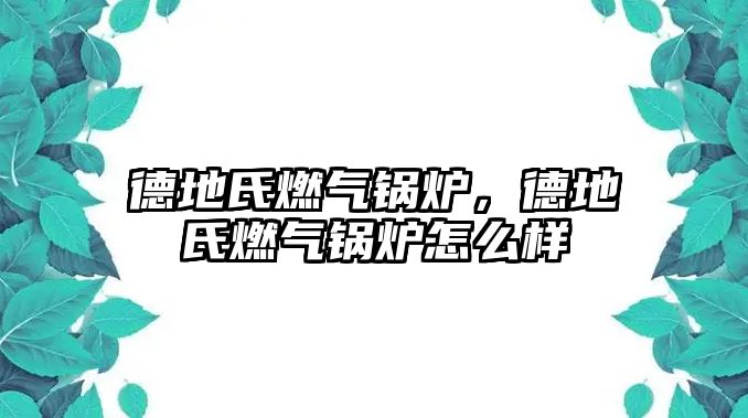 德地氏燃氣鍋爐，德地氏燃氣鍋爐怎么樣