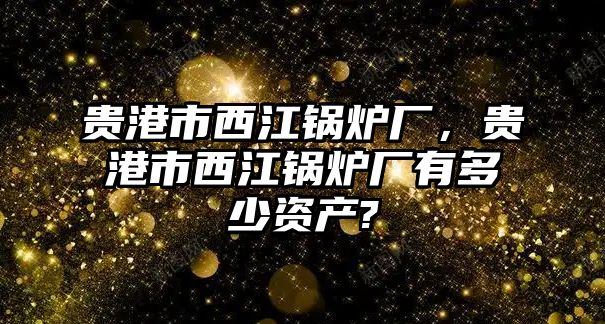 貴港市西江鍋爐廠，貴港市西江鍋爐廠有多少資產(chǎn)?