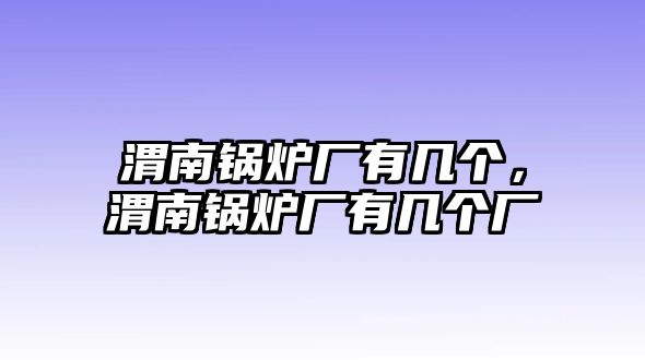 渭南鍋爐廠有幾個，渭南鍋爐廠有幾個廠