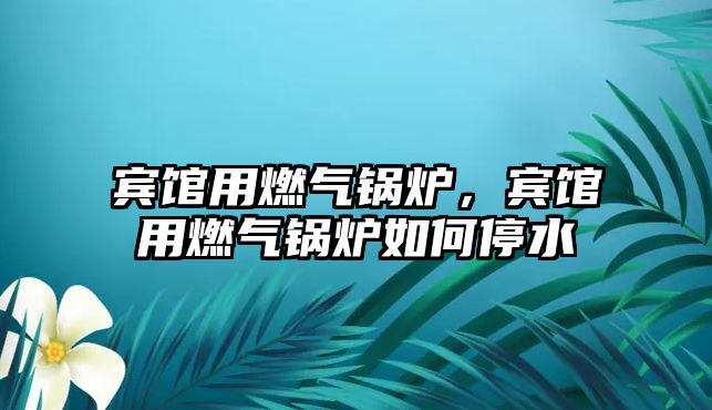 賓館用燃?xì)忮仩t，賓館用燃?xì)忮仩t如何停水