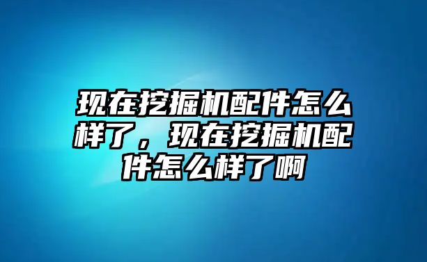 現(xiàn)在挖掘機(jī)配件怎么樣了，現(xiàn)在挖掘機(jī)配件怎么樣了啊