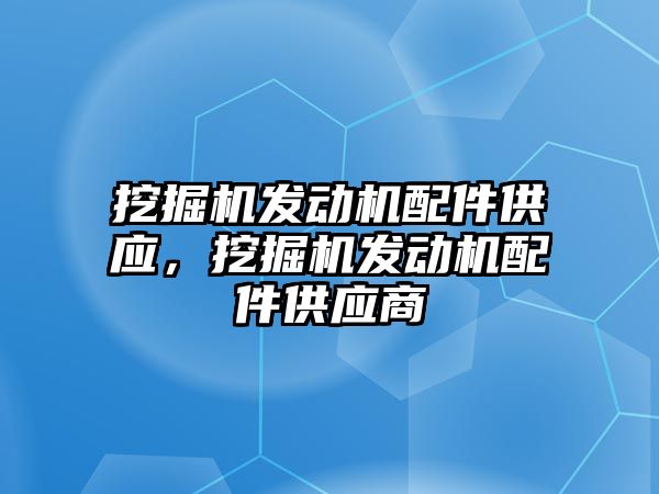 挖掘機發動機配件供應，挖掘機發動機配件供應商