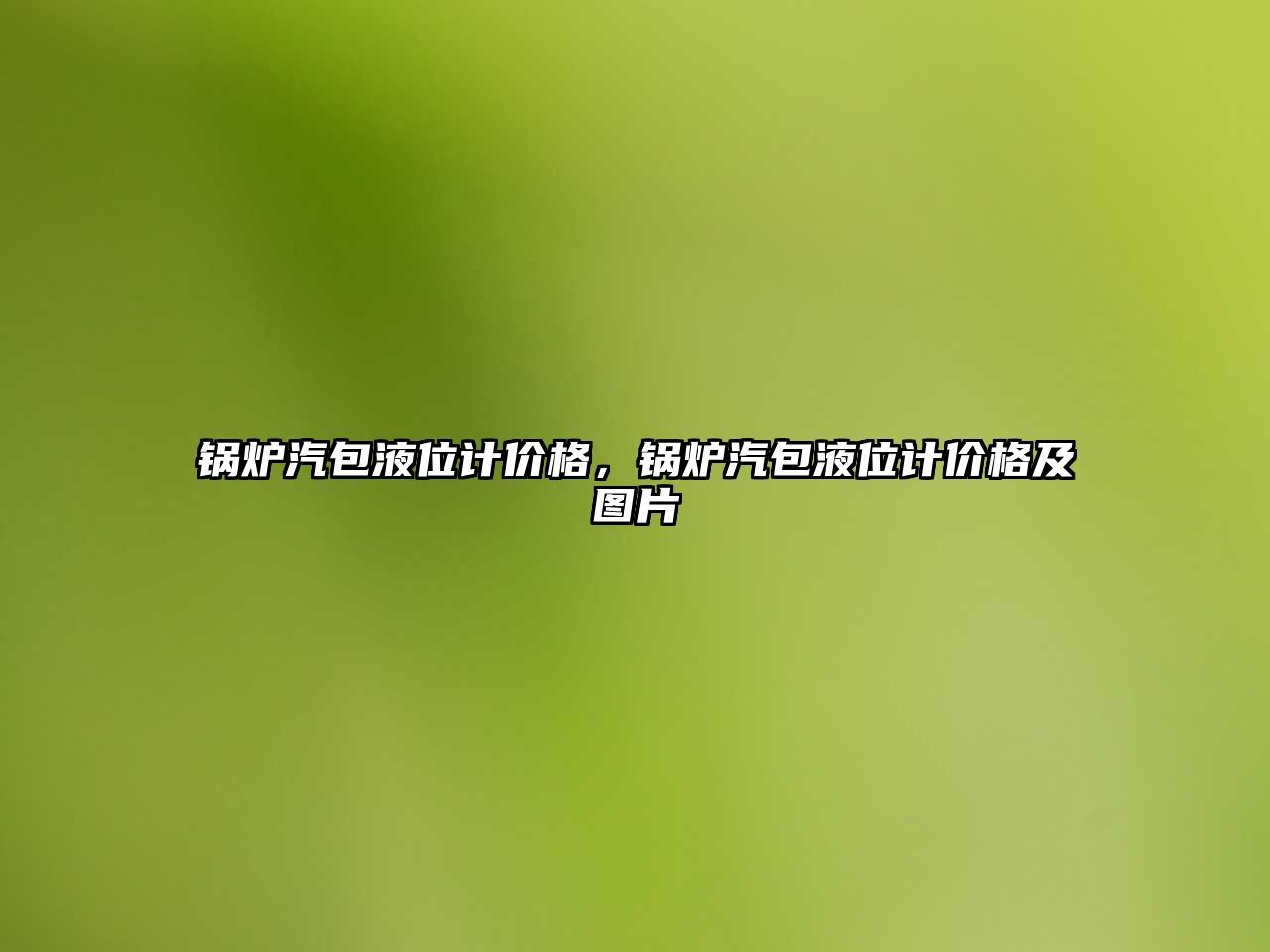 鍋爐汽包液位計價格，鍋爐汽包液位計價格及圖片