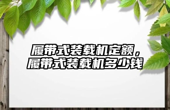 履帶式裝載機定額，履帶式裝載機多少錢