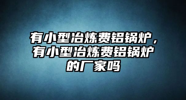 有小型冶煉費鋁鍋爐，有小型冶煉費鋁鍋爐的廠家嗎