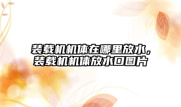 裝載機機體在哪里放水，裝載機機體放水口圖片