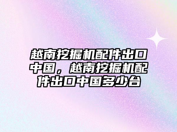 越南挖掘機配件出口中國，越南挖掘機配件出口中國多少臺