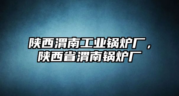 陜西渭南工業鍋爐廠，陜西省渭南鍋爐廠