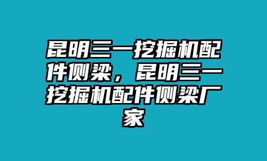 昆明三一挖掘機配件側梁，昆明三一挖掘機配件側梁廠家