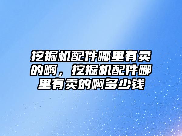 挖掘機配件哪里有賣的啊，挖掘機配件哪里有賣的啊多少錢