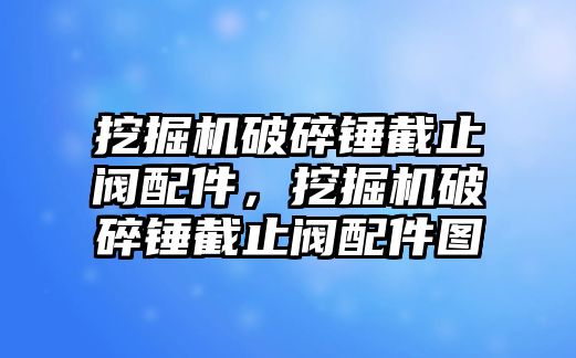 挖掘機破碎錘截止閥配件，挖掘機破碎錘截止閥配件圖