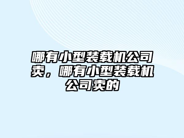 哪有小型裝載機公司賣，哪有小型裝載機公司賣的