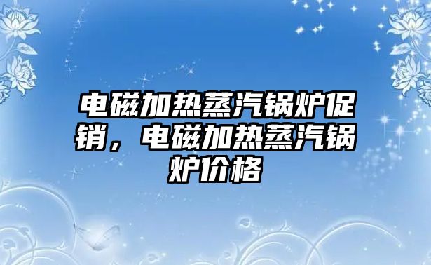 電磁加熱蒸汽鍋爐促銷，電磁加熱蒸汽鍋爐價(jià)格