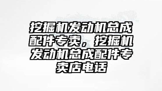 挖掘機(jī)發(fā)動機(jī)總成配件專賣，挖掘機(jī)發(fā)動機(jī)總成配件專賣店電話