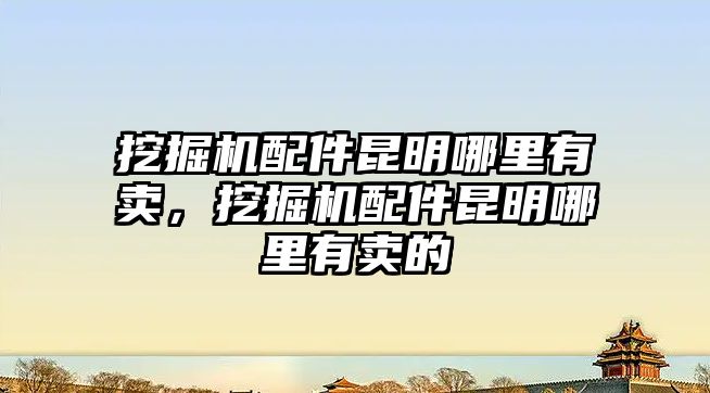 挖掘機配件昆明哪里有賣，挖掘機配件昆明哪里有賣的