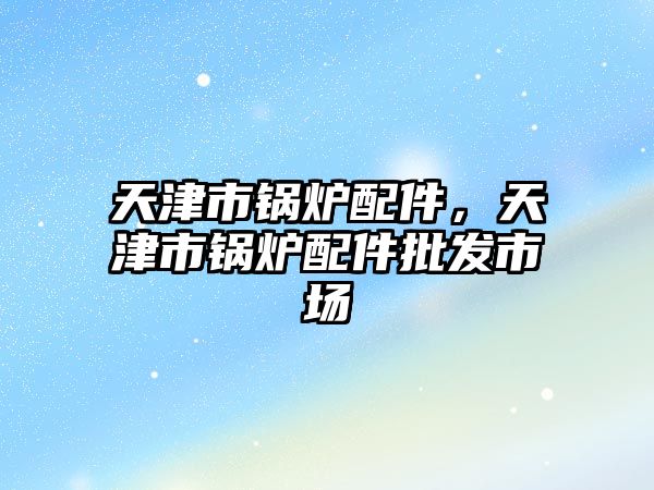 天津市鍋爐配件，天津市鍋爐配件批發(fā)市場