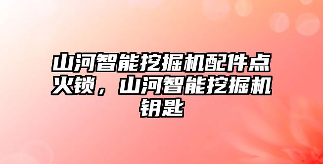 山河智能挖掘機配件點火鎖，山河智能挖掘機鑰匙