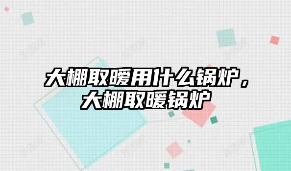 大棚取曖用什么鍋爐，大棚取暖鍋爐