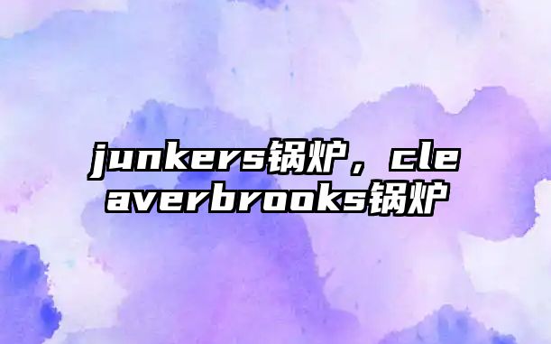 junkers鍋爐，cleaverbrooks鍋爐