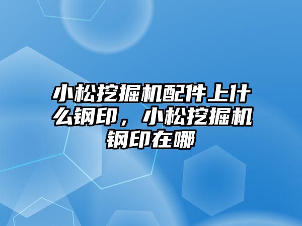 小松挖掘機配件上什么鋼印，小松挖掘機鋼印在哪